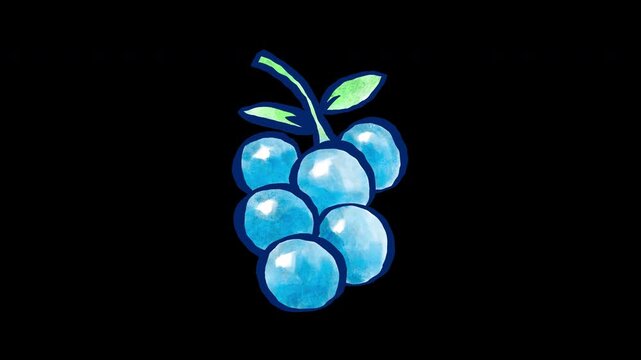 Seamless looping line boil 2D animation of a cute blue grape cluster with green leaves. Isolated on transparent alpha channel for food content, healthy lifestyle, video design, and children projects.