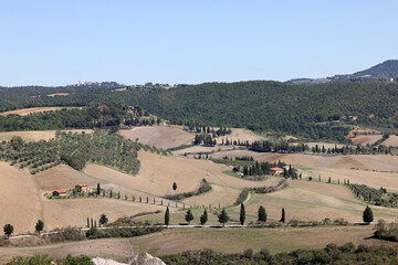 Obraz premium The rural landscape near Pienza in Tuscany. Italy