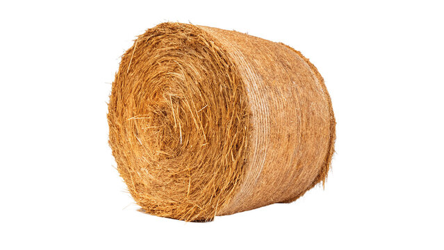 Round roll bale of dry golden hay straw isolated on transparent background
