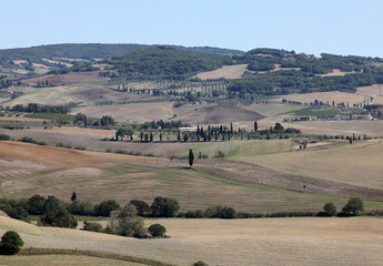 Obraz premium The rural landscape near Pienza in Tuscany. Italy
