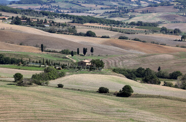 Obraz premium The rural landscape near Pienza in Tuscany. Italy