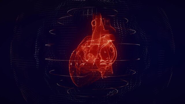 Anatomically Correct Red Digital Human Heart Seamless Loop with Futuristic Particle Effects and Rotating 3D Render, Representing Cardiac Computer Tomography Scan and Medical Science Technology