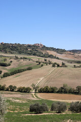 Obraz premium The rural landscape near Pienza in Tuscany. Italy