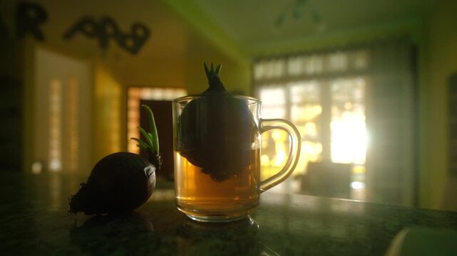 Ten days timelapse of the onion growing in the cup with water in the living room. Natural mixed light of days and nights. The process of the growing lasts around 10 days