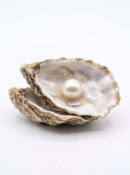 Natural Pearl Inside Open Oyster Seashell Isolated on White Background (Ai generated)