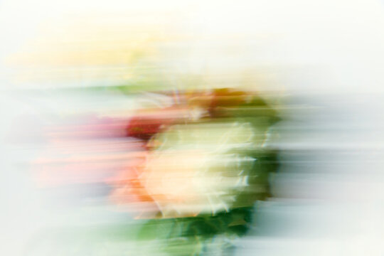 Abstract Motion Blur of Colorful Flower Bouquet on White Background