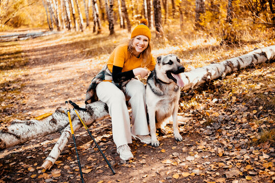 Professional dog sitter woman in autumn forest with eastern european shepherd. Fall outdoor cynologist training and mental health balance. Enjoying pet companionship far from urban lifestyle.