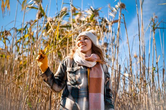 Happy woman holds reed on autumn outdoor walk in tall grass. Cheerful female traveler looks at blue sky in pampas field. Mindful solitude, mental health improvement, relaxing city escape.