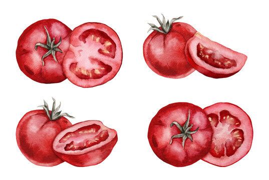 Hand painted watercolor set of cherry tomato compositions, whole red tomato with stem beside sliced half on white background, fresh ripe vegetable illustration for kitchen decor, menus, recipes