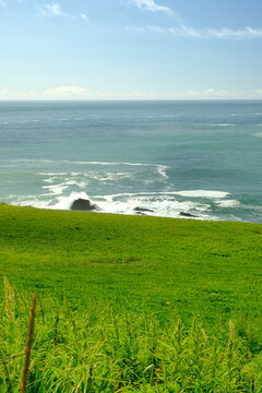 green grass and sea Cape Kiritappu, Hokkaido