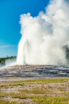 Summer travel scene of Old Faithful geyser erupting in Yellowstone.