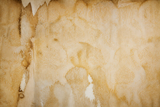 A textured, aged parchment or paper background with warm brown and beige tones.