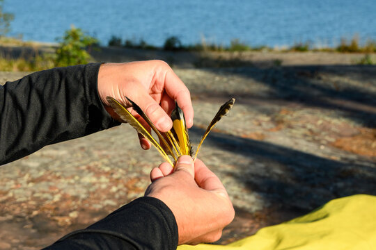 Hands holding a cluster of northern flicker feathers with yellow shafts above granite shoreline and blue water on Georgian Bay, Ontario, Canada