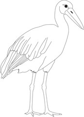 Fototapeta premium Black and white outline drawing of a standing stork or crane bird coloring page