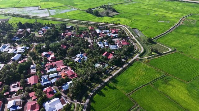Aerial view of vibrant green rice paddies surrounding a small village at Kubang Semang