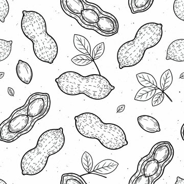 Hand drawn peanut shell and pod seamless pattern