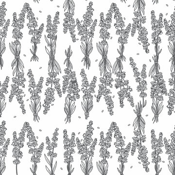 Hand drawn lavender sprig aromatherapy pattern
