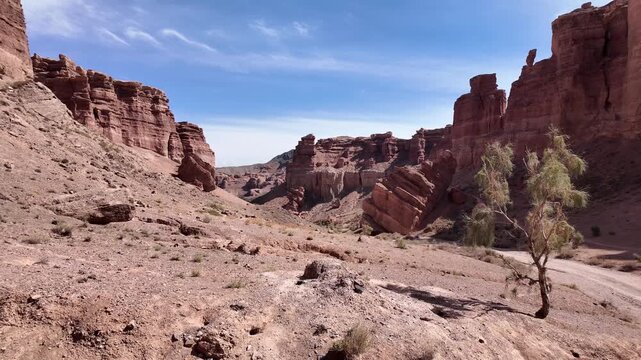 Majestic red sandstone formations form a deep gorge in the Charyn Canyon and a lone tree sways in the wind