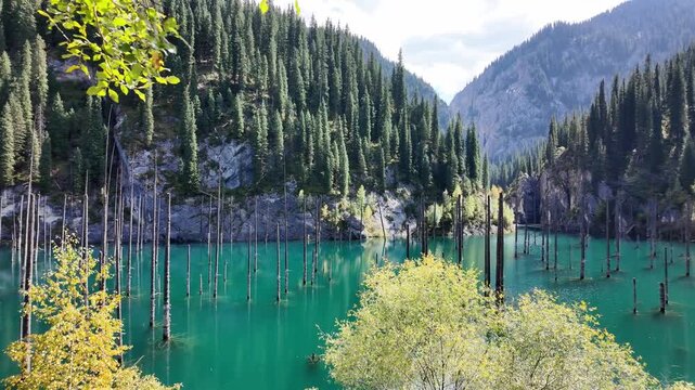 Beautiful view of kaindy lake, a stunning natural landmark in kazakhstan with its submerged forest of bare tree trunks and turquoise water