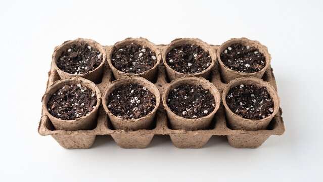 Biodegradable peat pots filled with nutrient rich potting soil and perlite on white background