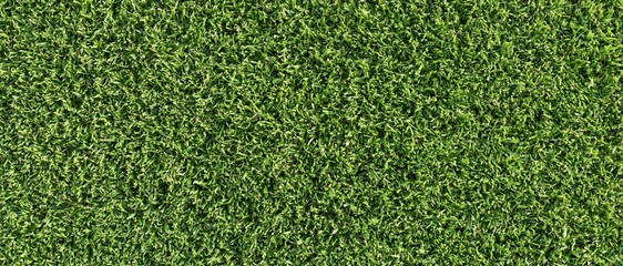 Obraz premium Top view of dense vibrant green grass texture