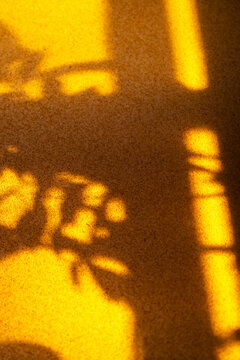 Warm golden shadow of plant on textured wall
