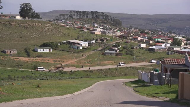 White taxis slow as a herd of cattle crosses a rural road below hillside homes in Makhanda Township.