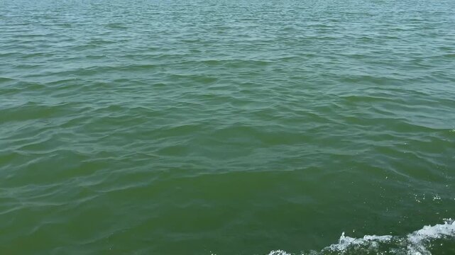 Navigating Along The Padma River Overlooking Small Island (char region) In Bangladesh. POV Shot