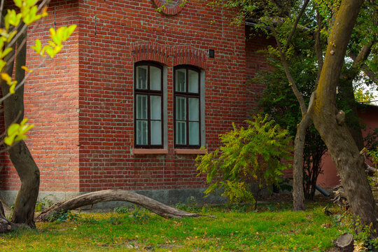 charming red brick cottage peaceful garden October afternoon back yard space with grass lawn
