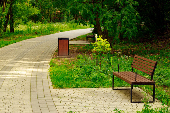 A peaceful paved walking trail winds through a lush green park with wooden benches in spring