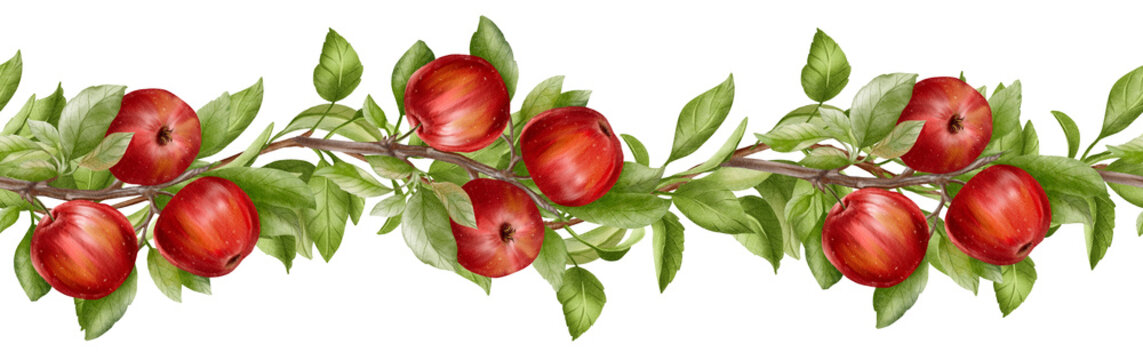 Watercolor seamless border with red apples on tree branches and green leaves for kitchen textile, nursery decor, children storybook framing, autumn harvest card design.