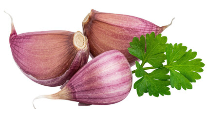 Three purple garlic cloves with fresh green parsley sprig, isolated on transparent background © George