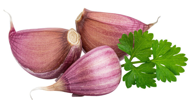 Three purple garlic cloves with fresh green parsley sprig, isolated on transparent background