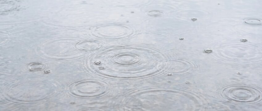 Fresh water ripple spring rain texture. Circular waves and bubbles on puddle surface. Rainy weather background