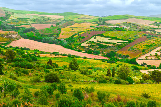 panoramic landscape vibrant patchwork cultivated farmland and lush green meadows under a soft cloudy sky in the countryside