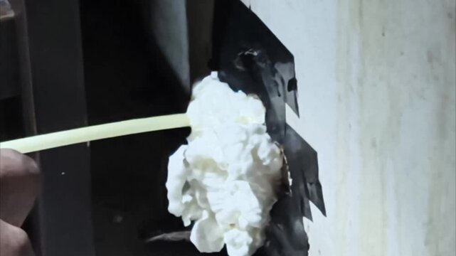 Close up of applying expanding polyurethane foam spray to seal wall corner gap for rodent pest control
