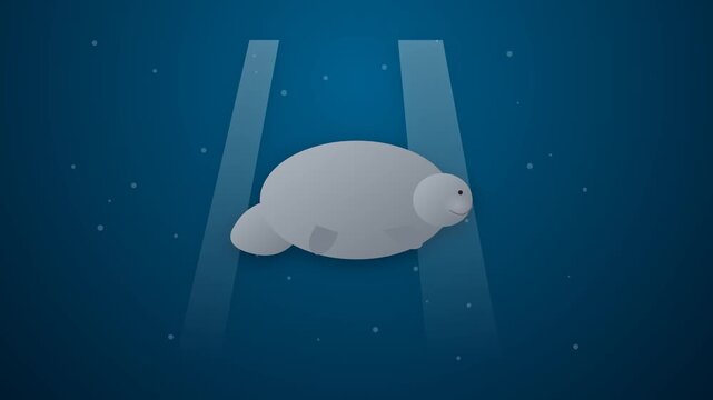Gentle Grey Manatee Floating in Deep Blue Tropical Water Environment