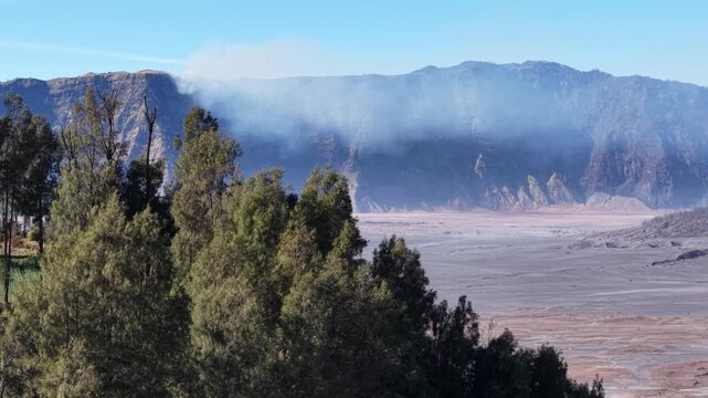 Smoke drifts from a vast, barren volcanic crater. Trees frame the scene with green, dense foliage at Cemoro Lawang