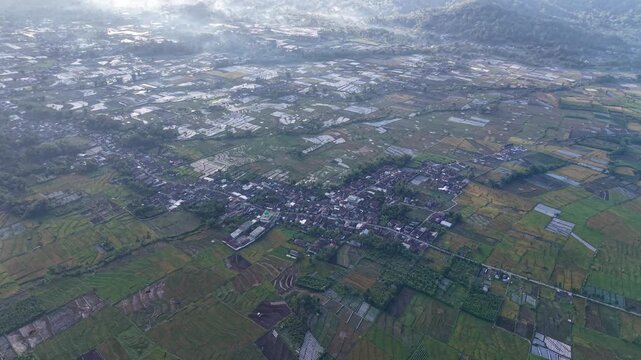 Mist veils quiet village nestled in green fields. Rows of crops stretch wide, patchwork earth below at Pronojiwo, Lumajang