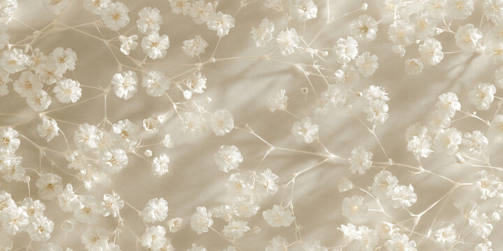 Delicate white babys breath flowers flat lay pattern with soft shadows on warm beige background