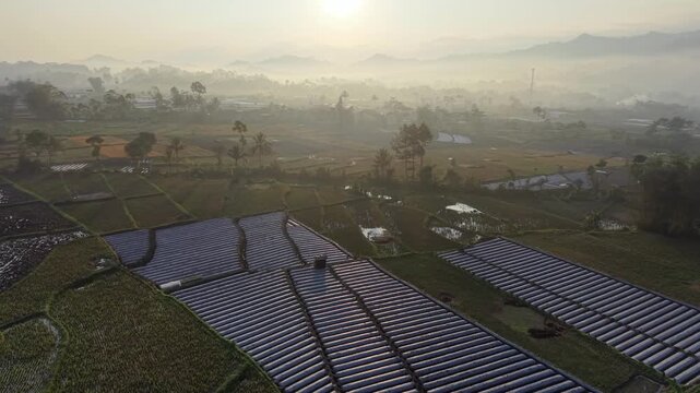Mist rises gently over peaceful rice fields. Sunlight glows softly through the haze at Teras Semeru