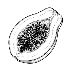 Obraz premium vector illustration of a papaya