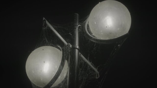 Old double street lamp wrapped in dense spider webs glows against a black night sky, moody cinematic close-up for Halloween promos, horror intros and urban decay stories