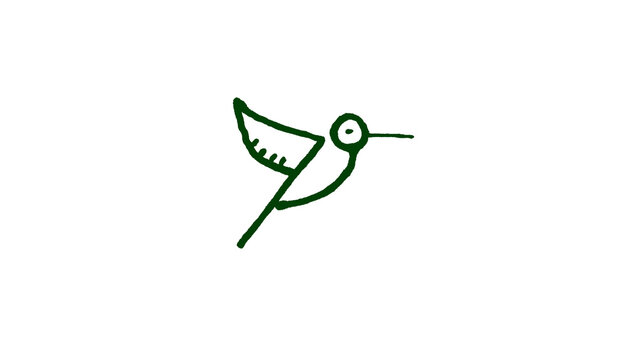 Flying hummingbird in motion hand drawn doodle icon, green outline line art illustration isolated on white background, simple minimalist sketch style flying hummingbird in motion vector clipart, cute 