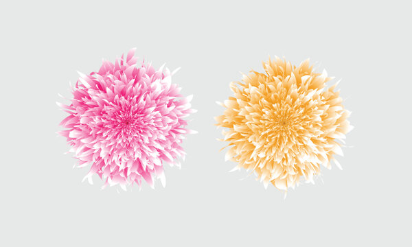 Natural Flower 