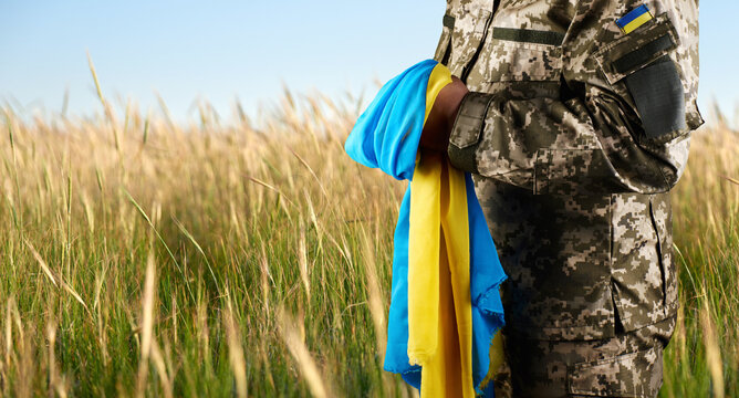 Ukrainian soldier in camouflage uniform holding the flag of Ukraine against a wheat field background.