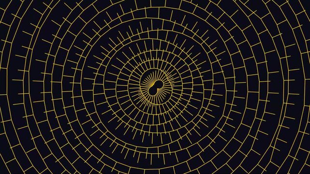 Abstract digital animation featuring glowing green and cyan concentric circles and radial lines forming a complex geometric spider web pattern moving continuously
