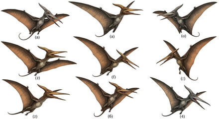 Nine illustrations of flying pterosaurs with wings outstretched beaks open and long crests on a white background © Shalahuddin