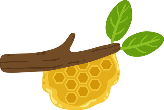 Sweet Honey Dripping Honeycomb on Tree Branch Illustration