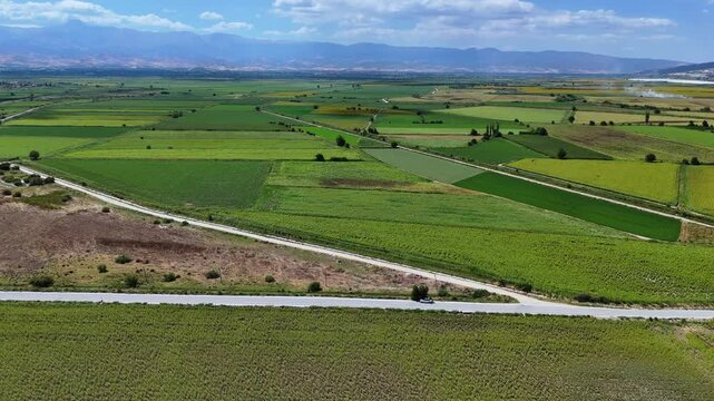 Sunflower Fields and Rural Farmland Landscape